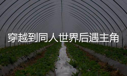 《快穿年代之炮灰逆袭》全文在线阅读
