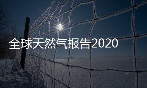 全球天然气报告2020