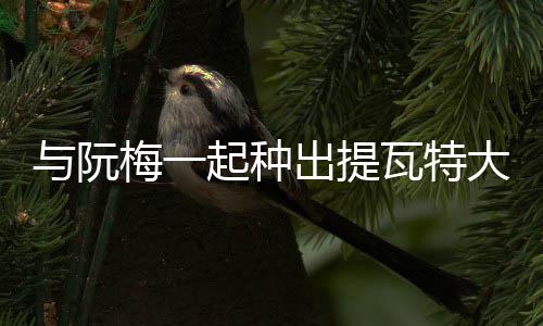 《疯批美人有小岛，年代大佬宠上心》全文在线阅读