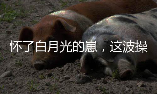 《全网黑后我在军旅综艺杀疯了》全文在线阅读