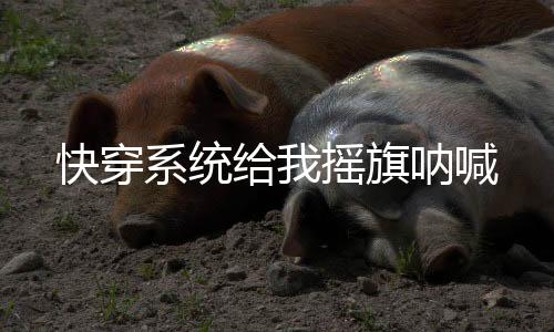 《疯批美人有小岛，年代大佬宠上心》全文在线阅读