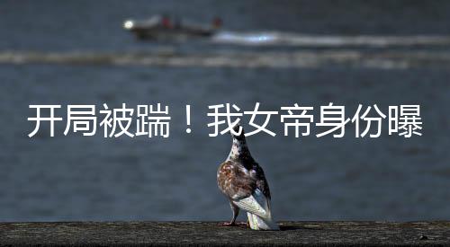 《重生七零：嫁了个傲娇汉子》全文在线阅读
