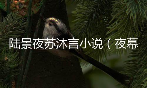 《穿书成恶毒女配，我创死霸总全家》全文在线阅读