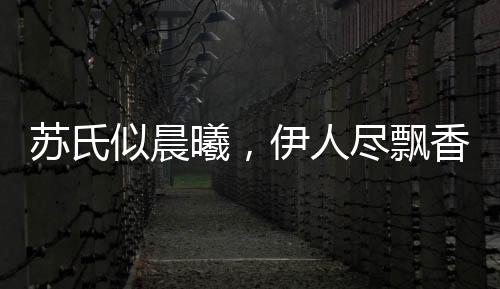 《年代亲妈重生，为炮灰儿女撑腰！》全文在线阅读