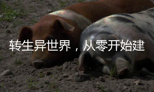《夫人她马甲又轰动全城了》全文在线阅读